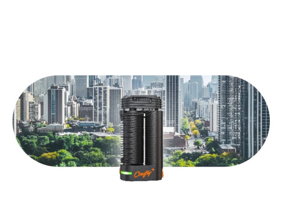 STORZ & BICKEL CRAFTY+